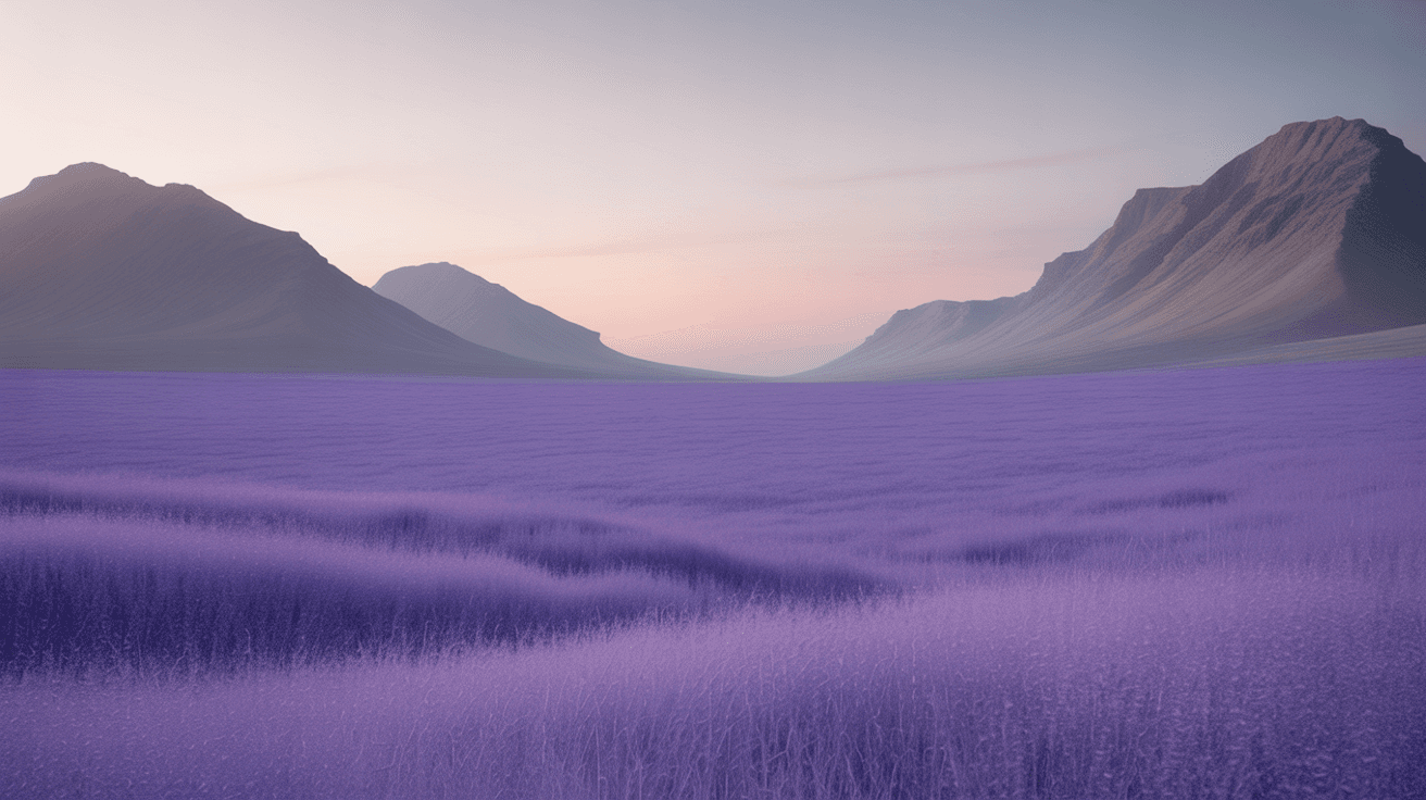 purple field
